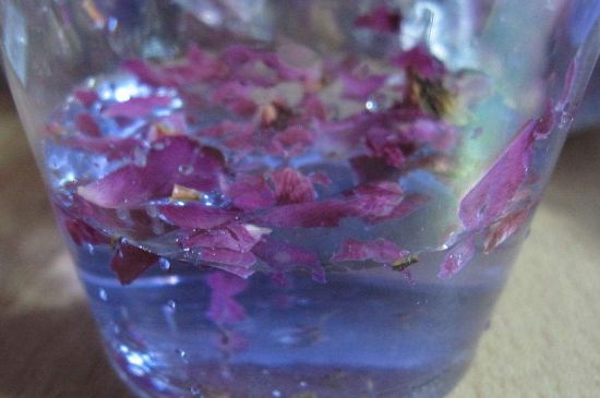 玫瑰花茶真假开水图片 正宗玫瑰花泡水的颜色