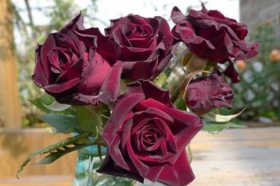 十大最贵的玫瑰花品牌 玫瑰花品牌十大排行榜